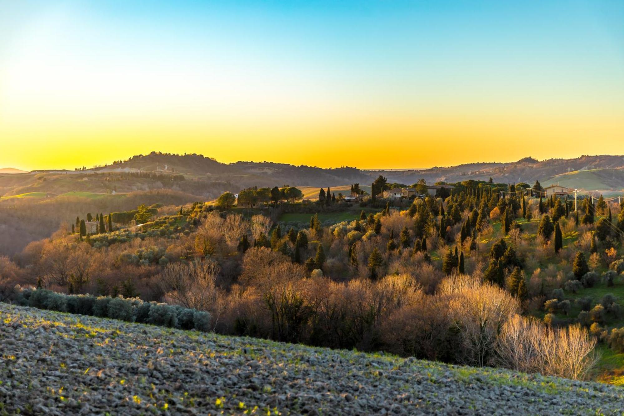 Villa Borgo Il Poggio Agritourismo à Montaione Extérieur photo
