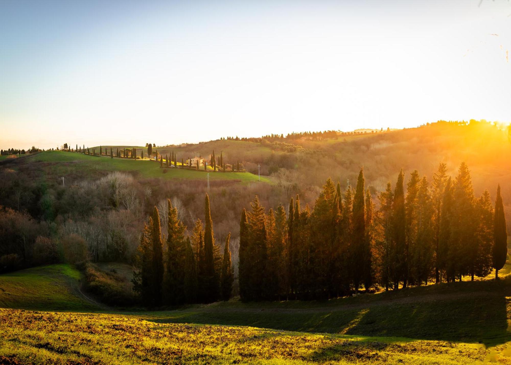 Villa Borgo Il Poggio Agritourismo à Montaione Extérieur photo