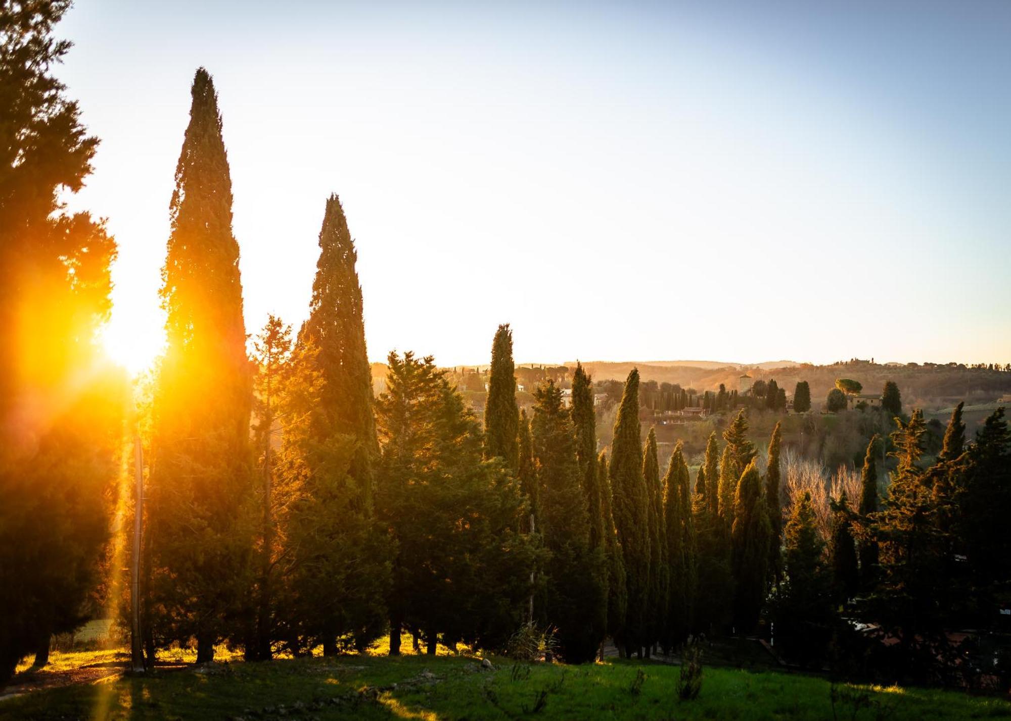 Villa Borgo Il Poggio Agritourismo à Montaione Extérieur photo